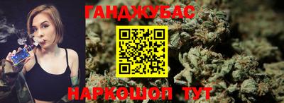 гидра Кингисепп