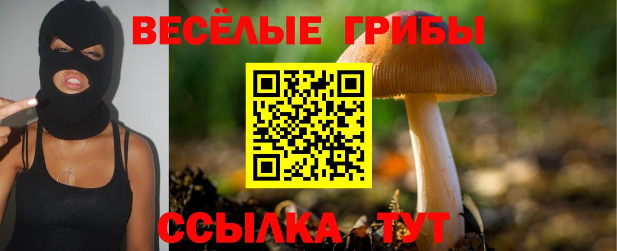 Псилоцибиновые грибы Magic Shrooms  Вход с VPN  Галлюциногенные грибы Psilocybe  Сергиев Посад 